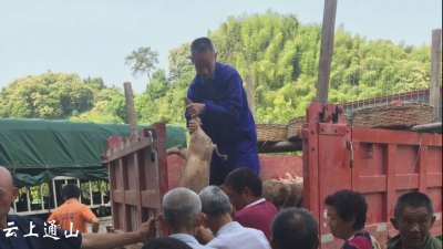 县公安局 中医院：出实招 真扶贫