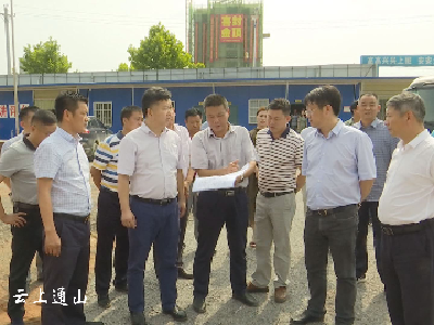 陈洪豪督查重点项目建设  