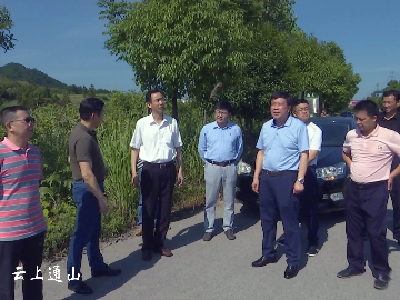 【新时代 新作为】尤晋来我县调研幕阜山绿色产业带项目建设工作  