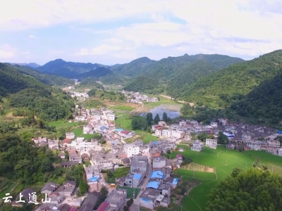 聚焦南林桥镇独具特色的旅游产业发展之路