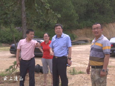 石玉华在杨芳林乡调研时要求：打造乡村振兴的通山样板  