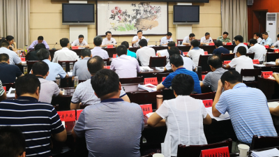 丁小强：加快推进项目建设  实现高质量发展