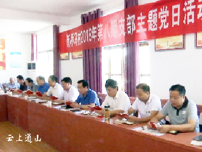 县委办公室开展2018年第8期“支部主题党日”活动  石玉华讲党课 推动扫黑除恶斗争进基层