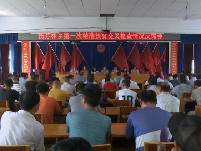 张远林出席杨芳林乡精准扶贫交叉检查情况反馈会