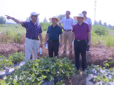 长江云——通山县委宣传部：引富民项目 助脱贫攻坚