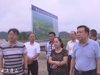 把脉解难题   鼓劲促发展  石玉华周日检查重点项目建设     