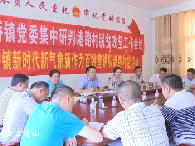 南林桥镇：镇党委会开到村 书记领头破难题