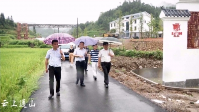 市督查组督查我县乡村振兴重点工程