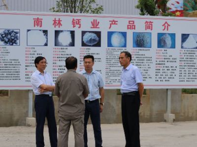 现场“把脉问诊”  助力乡村振兴——县人大常委会深入南林桥镇视察调研 