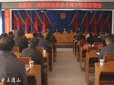 县委第二巡察组向杨芳林乡反馈巡察意见