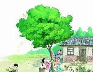 【凤池夜读】震宇朗读《桂花雨》第46期