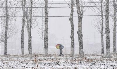 【凤池夜读】第68期 | 邓阳朗读 《大雪：被诗点化的日子》