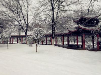 【凤池夜读】第77期 | 刘筠、阿乐朗读《雪花的快乐   溶雪的时刻》