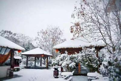 【九宫文学】雪地的脚印