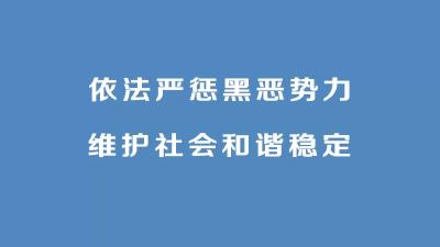 【通山新闻】2019年7月02日