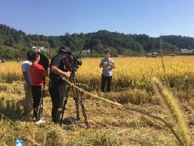长江云——央视直播！丰收节向全国展示通山秋收画卷