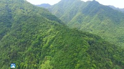长江云——湖北通山：交通不便的山界腹地 乡村旅游悄然兴起  