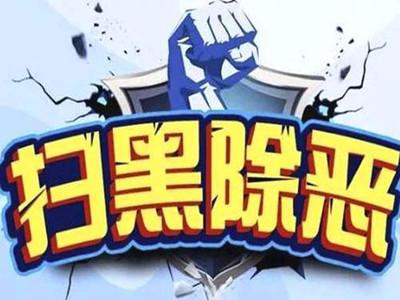 【视频】聚焦扫黑除恶 共建平安通山