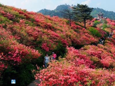 【九宫文学】| 朱凌云：梦境大幕山  