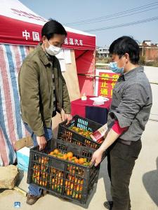 长江云——【让党旗在防疫一线高高飘扬】夏常德：抗“疫”新岗位，履职“不打烊”