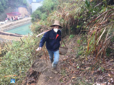 长江云——【众志成城抗疫情】通山通羊镇岭下村：植树造林不误时