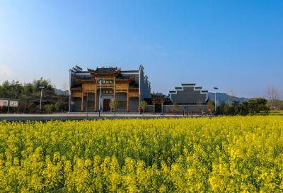 长江云——【组图】通山：春耕序曲