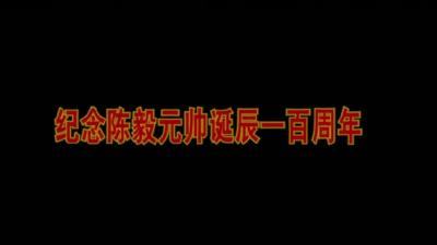 电影《陈毅在茅山》