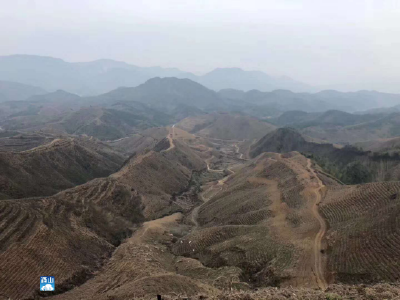 长江云——通山燕厦乡：百名干群齐上阵助力企业复生产