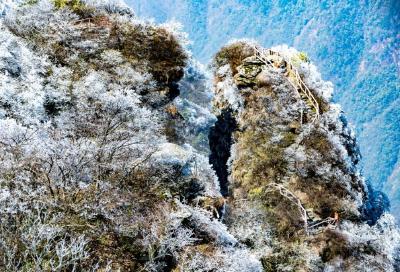 长江云——【图文】山花冰花争斗艳  通山四月尽芳菲