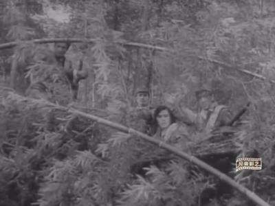 电影《大地重光》