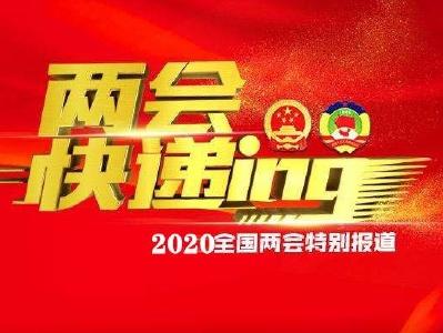  【两会快递】十三届全国人大三次会议举行第二次全体会议