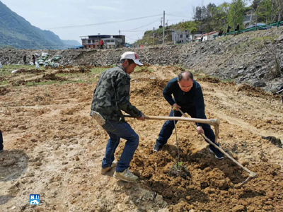 长江云——通山慈口乡：滩头地换装“金土地”  