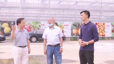 长江云——市统计局来我县开展特色农业专题调研  