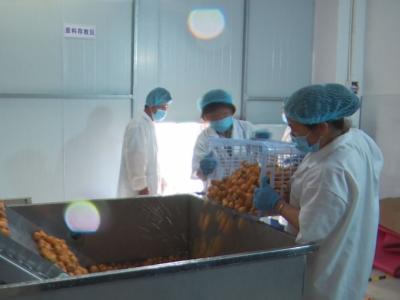 长江云——V视 | 枇杷加工企业为果农增收加一道保险