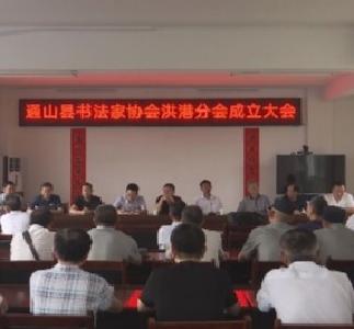 长江云——V视 | 喜讯！通山书法家协会洪港分会正式成立