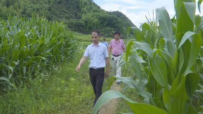 长江云——【脱贫故事】V视 | 徐忠宽：把责任扛肩上  把村民装心里