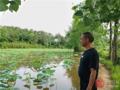 长江云——通山大路乡神堂铺村郭帮献：种植莲藕奔富路