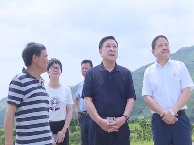 长江云——V视 |石玉华在燕厦乡调研时强调：做活山水资源文章 促进农旅融合高质量发展