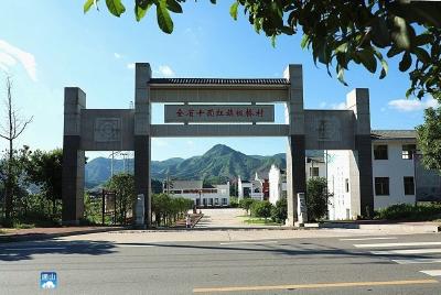 长江云——通山板桥村“民情茶室”：小小聊天室 大大和谐情 