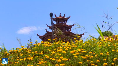 长江云——【项目速递】通山：王明璠花海项目建设提速