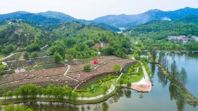 藏不住了！通山“国家级美丽休闲乡村”，看完想打卡！