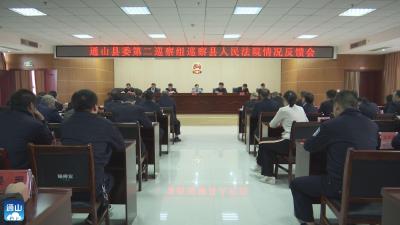 V视 | 县委第二巡察组向通山法院反馈巡察情况
