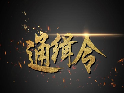 A级通缉令！见到这10人请立即报警