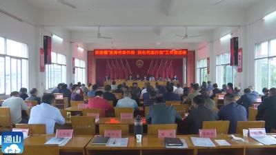 V视 | 洪港镇：推进“发挥代表作用 深化代表行动”工作