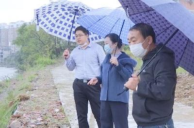 V视 | 胡江玲到洪港镇督查疫情防控并开展巡河调研