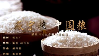 V视丨献给第40个世界粮食日——《咸宁粮 中国粮》
