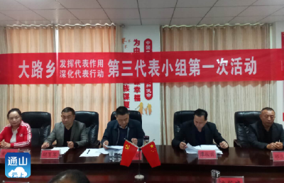 大路乡：扎实开展“发挥代表作用 深化代表行动”活动