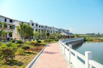 长江云——花开东门已初红—— 走笔燕厦乡“康养小镇”项目建设