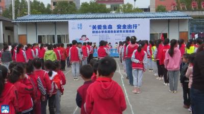 V视 | 县义工协会把交通安全知识送进校园