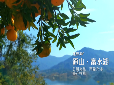短视频 | 北纬30°  通山 • 富水湖 • 柑桔